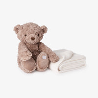Elegant Baby Brown Bear Bedtime Huggie Plush Toy and Blanket
