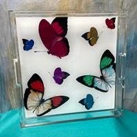 Nicolette Mayer Acrylic 12" x 12" Tray - Butterflies