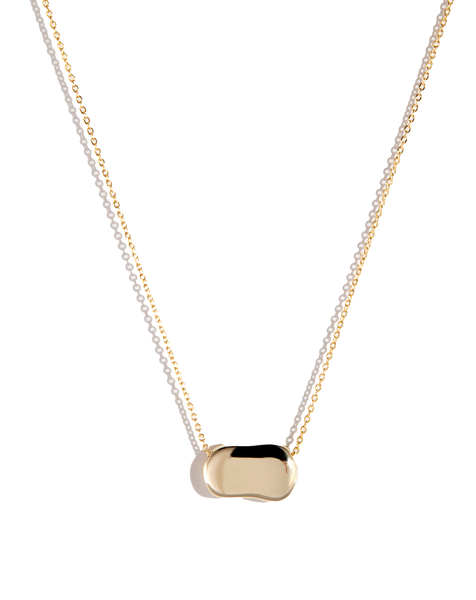 Electric Picks Dakota Necklace