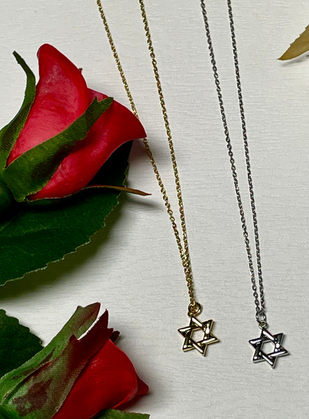 Iishii Designs Star of David Necklace