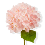 Tag Living Soft Touch Faux Hydrangea Stem