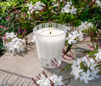 Nest Indian Jasmine Classic Candle