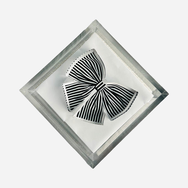 Acrylic Napkin Weights and Paperweights
