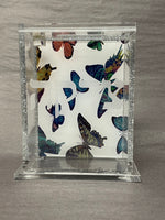Acrylic Tzedakah Box