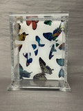 Acrylic Tzedakah Box